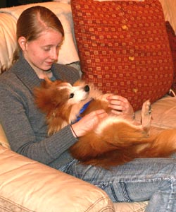 foxi