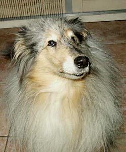 maudy