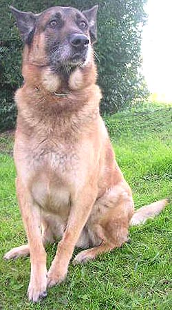max